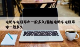 电动车电瓶寿命一般多久/雅迪电动车电瓶寿命一般多久