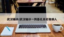 武汉确诊/武汉确诊一例基孔肯尼雅病人