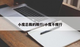 小度总裁的限行/小度不限行