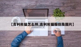 【吉利熊猫怎么样,吉利熊猫报价及图片】