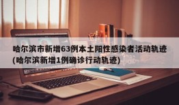 哈尔滨市新增63例本土阳性感染者活动轨迹(哈尔滨新增1例确诊行动轨迹)