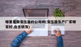 哪里是做变压器的公司啊(变压器生产厂家哪家好,自主研发)