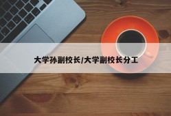 大学孙副校长/大学副校长分工
