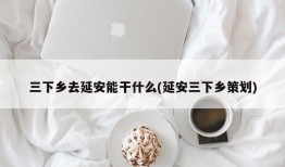 三下乡去延安能干什么(延安三下乡策划)