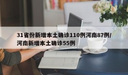 31省份新增本土确诊110例河南87例/河南新增本土确诊55例