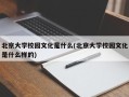北京大学校园文化是什么(北京大学校园文化是什么样的)