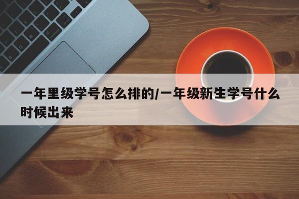 一年里级学号怎么排的/一年级新生学号什么时候出来